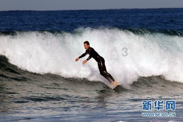 2024年度宜昌科技职业学院食堂大宗食材供应商采购项目竞争性磋商公告