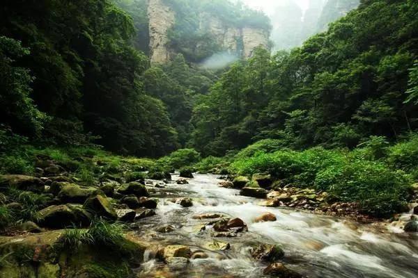 以军称在加沙地带南部汗尤尼斯与哈马斯进行“高强度战斗”